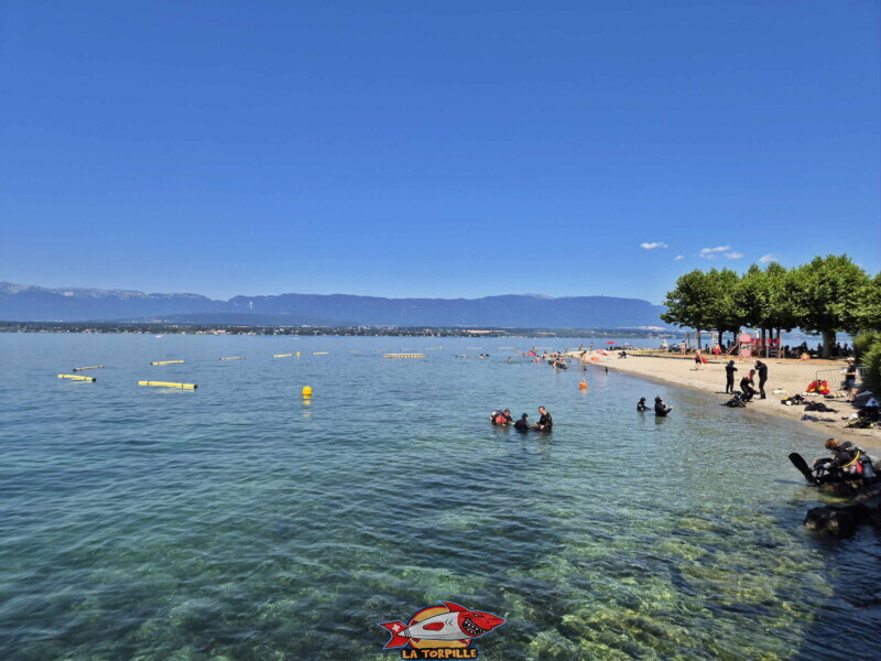 Zone de baignade. Au premier-plan, des plongeurs. la plage d'Hermance est l'un des sites de plongée subaquatique les plus fréquentés et réputés du Léman. L'accès à l'eau y est gratuit et facilité par une pente de galets douce. Plage d'Hermance. Canton de Genève.
