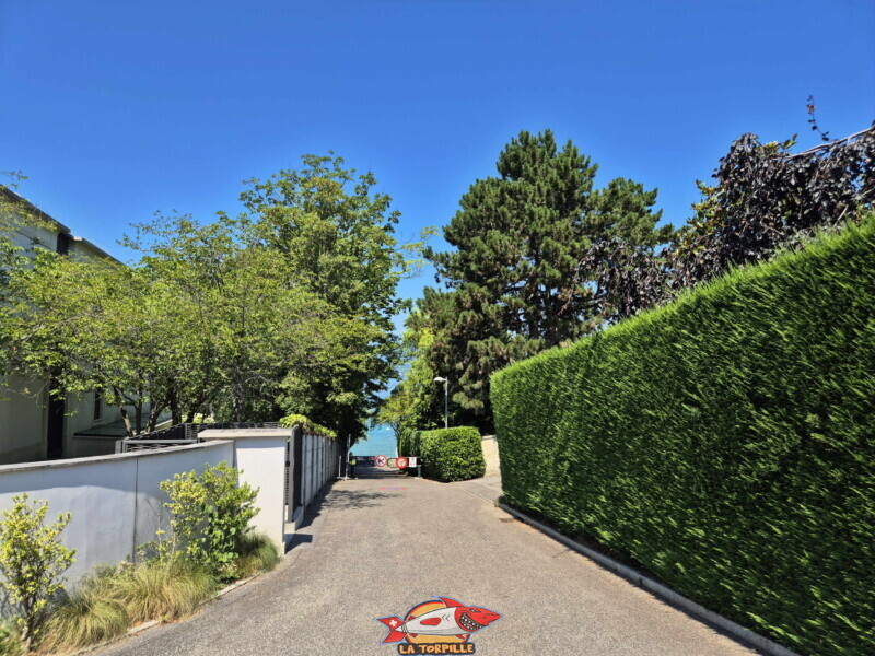 Le chemin du débarcadère.