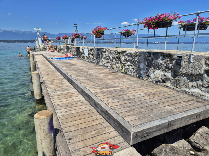 Le deck sur le côté sud du débarcadère d'Anières. Plage du Débarcadère d'Anières, canton de Genève, lac Léman. Le deck sur le côté sud du débarcadère d'Anières. Plage du Débarcadère d'Anières, canton de Genève, lac Léman.
