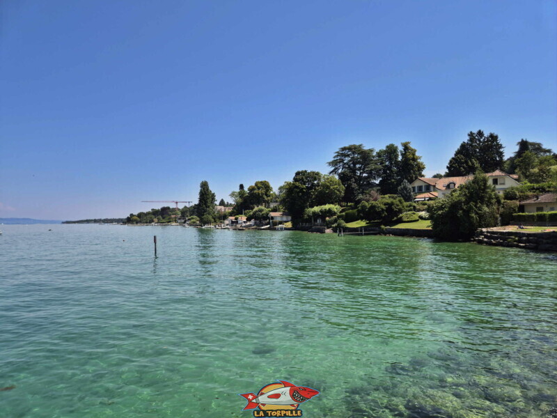 La vue sur le rivage en direction d'Hermance. Au fond, à gauche, la plage d'Hermance. La vue sur le rivage en direction d'Hermance. Au fond, à gauche, la plage d'Hermance.