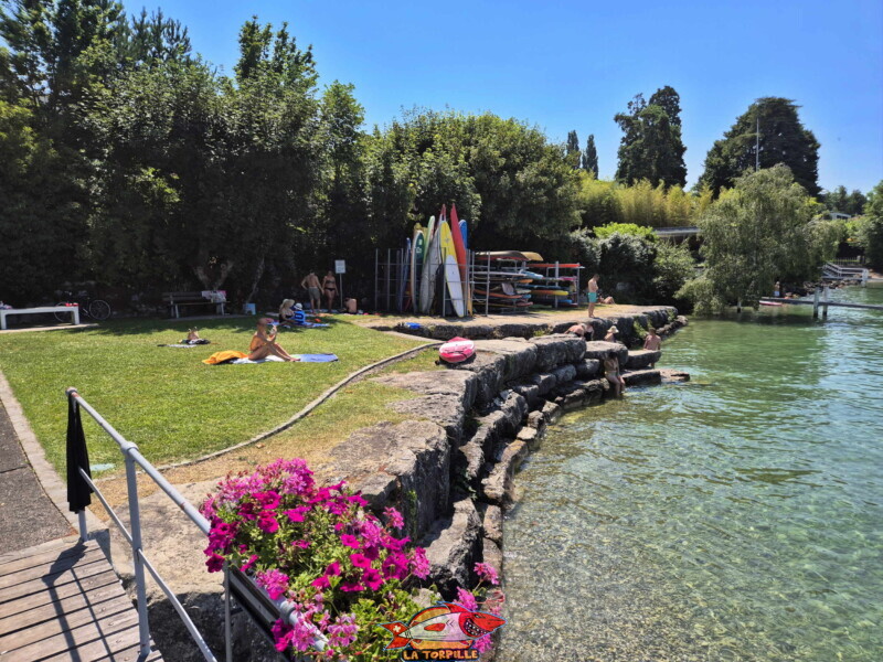 La zone sud de la pelouse. Plage du Débarcadère d'Anières, canton de Genève, lac Léman.