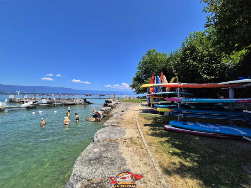 Râteliers. Plage du Débarcadère d'Anières, canton de Genève.
