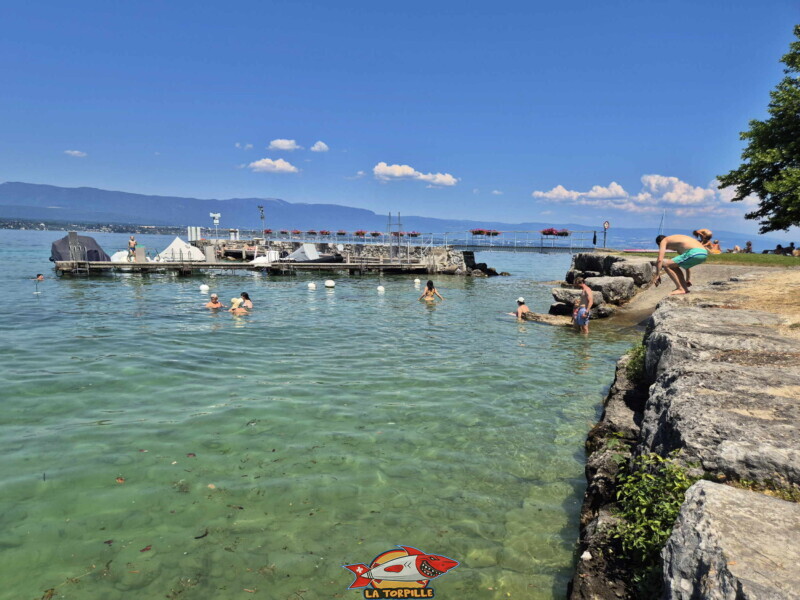 Les enrochements côté sud. Plage du Débarcadère d'Anières, canton de Genève, lac Léman.