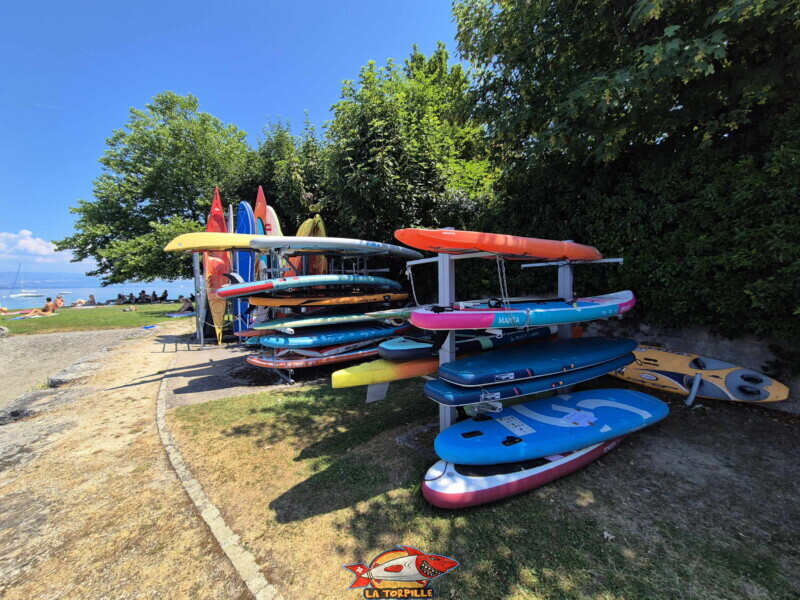 Râteliers. Plage du Débarcadère d'Anières, canton de Genève.