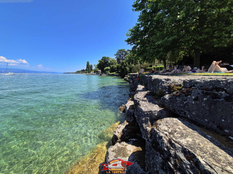 Les enrochements côté nord. Plage du Débarcadère d'Anières, canton de Genève, lac Léman.