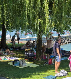 🏖️🛳️ Pelouse et Débarcadère d’Anières