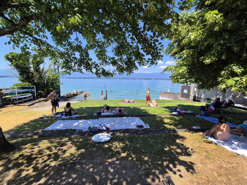 Pelouse. Plage des Courbes. Anières, lac Léman, canton de Genève.
