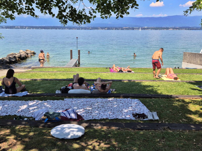 Pelouse. Plage des Courbes. Anières, lac Léman, canton de Genève.