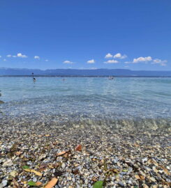 🏖️ Plage des Courbes – Anières