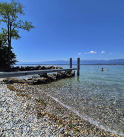 🏖️ Plage des Courbes – Anières