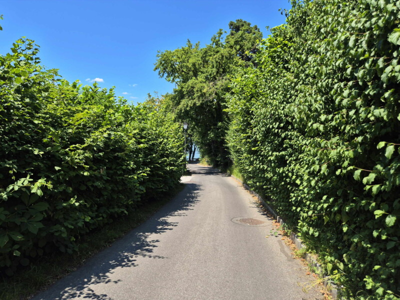 Le chemin de la Gravière qui mène à la plage. Le chemin de la Gravière qui mène à la plage.