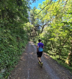 🏞️ Bisse de Sillonin – St-Léonard