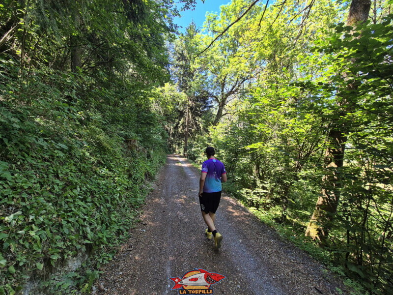 La descente depuis le village de Lens jusqu'au niveau du bisse de Sillonin. Le chemin de Sarmona.
