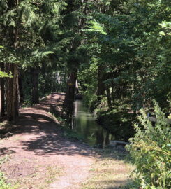 🏞️ Bisse de Sillonin – St-Léonard