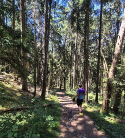 🏞️ Bisse de Sillonin – St-Léonard