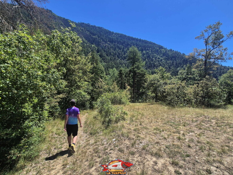 Chemin forestier. Bisse de Sillonin