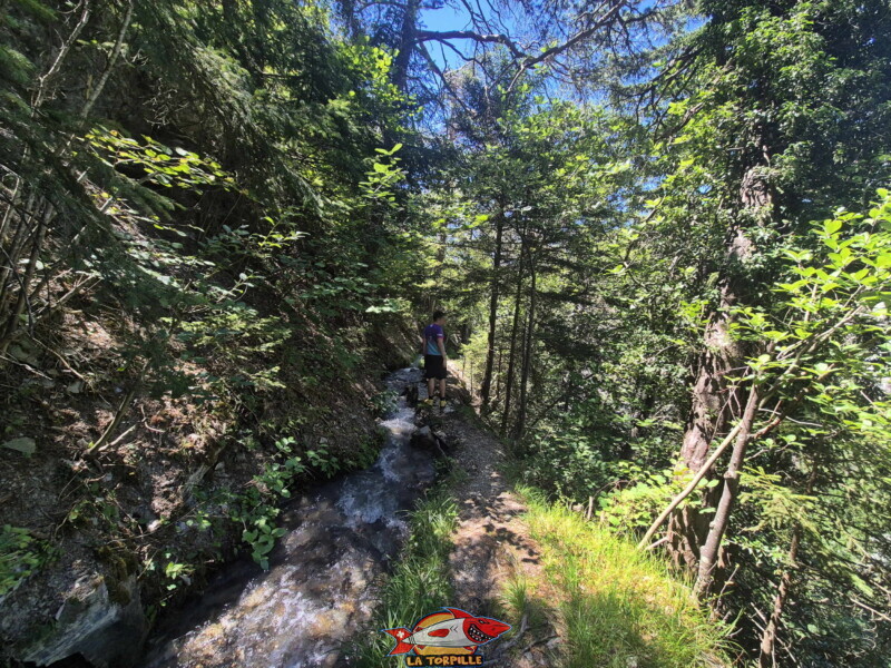 Chemin forestier, Peu avant la paroi rocheuse, le bisse réapparait magnifiquement à l'air libre sous forme de torrent !! Chemin forestier, Peu avant la paroi rocheuse, le bisse réapparait magnifiquement à l'air libre sous forme de torrent !!. Bisse de Sillonin