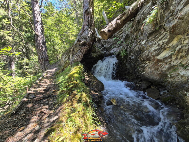Chemin forestier. Bisse de Sillonin