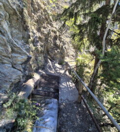 🏞️ Bisse de Sillonin – St-Léonard