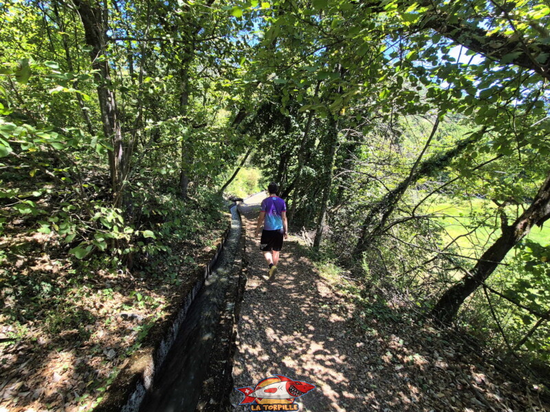 Le chemin dans la forêt, au pied de la vallée de la Lienne, dans la commune de St-Léonard. Vallée de la Lienne - St-Léonard Le chemin dans la forêt, au pied de la vallée de la Lienne, dans la commune de St-Léonard. Vallée de la Lienne - St-Léonard. Bisse de Sillonin