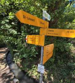 🏞️ Bisse de Sillonin – St-Léonard