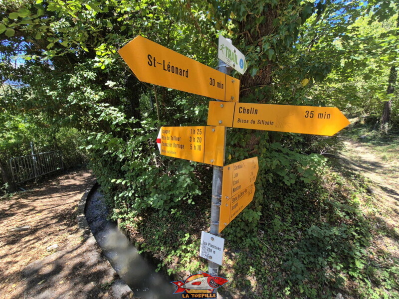 Un panneau au-dessus des Planisses. Il indique que St-Léonard, dans la vallée du Rhône, est à 30 minutes de marche, Chelin, le long du bisse, à 35 minutes et, direction nord-est en forte montée, le sommet du Châtelard et la statue du Christ-Roi à 1 h 25 min. Un panneau au-dessus des Planisses. Il indique que St-Léonard, dans la vallée du Rhône, est à 30 minutes de marche, Chelin, le long du bisse, à 35 minutes et, direction nord-est en forte montée, le sommet du Châtelard et la statue du Christ-Roi à 1 h 25 min. Vallée de la Lienne - St-Léonard. Bisse de Sillonin