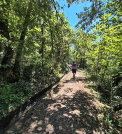 🏞️ Bisse de Sillonin – St-Léonard