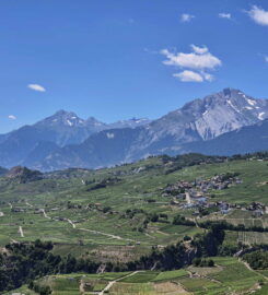 🏞️ Bisse de Sillonin – St-Léonard