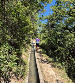 🏞️ Bisse de Sillonin – St-Léonard
