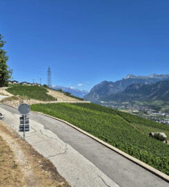 🏞️ Bisse de Sillonin – St-Léonard