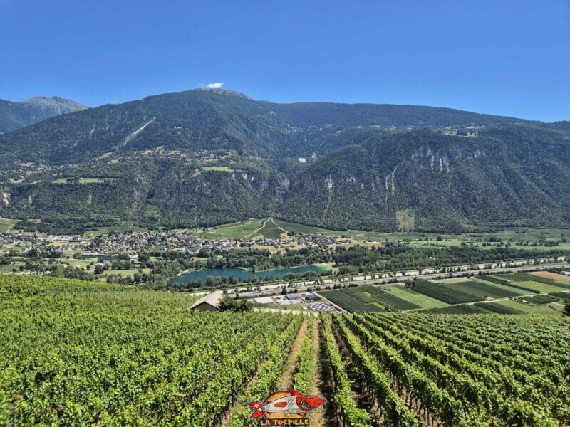 Vallée du Rhône - Lens / Vigne. Bisse de Sillonin
