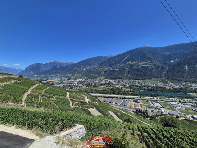 Vallée du Rhône - Lens / Vigne
