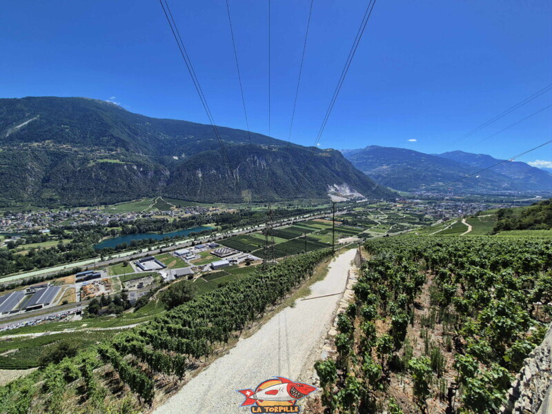 Vallée du Rhône - Lens / Vigne. Bisse de Sillonin