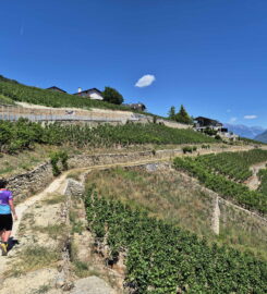 🏞️ Bisse de Sillonin – St-Léonard