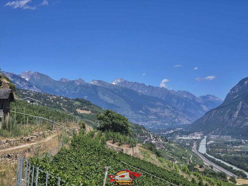 Vallée du Rhône - Lens / Vigne. Bisse de Sillonin Vallée du Rhône - Lens / Vigne. Bisse de Sillonin. Le Bietschhorn au milieu de l'image.