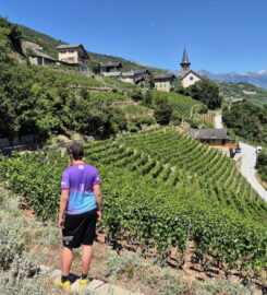 🏞️ Bisse de Sillonin – St-Léonard