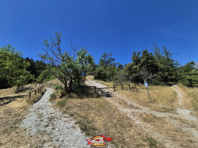 La montée dans la forêt après la route du Châtelard. Sur la droite, la montée dans la forêt. Sur la gauche, le chemin raccourci. La montée dans la forêt après la route du Châtelard. Sur la droite, la montée dans la forêt. Sur la gauche, le chemin raccourci. Statue du Christ-Roi, Lens, Valais central.