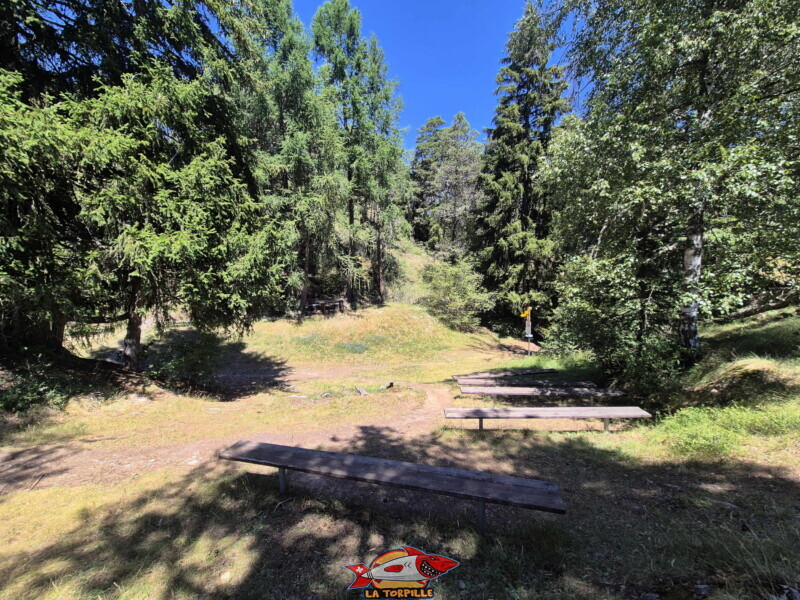 Les bancs de l'église en plein air avec, au milieu de l'image, la table en pierre. Descente dans la forêt Les bancs de l'église en plein air avec, au milieu de l'image, la table en pierre. Descente dans la forêt. Statue du Christ-Roi, Lens, Valais central.