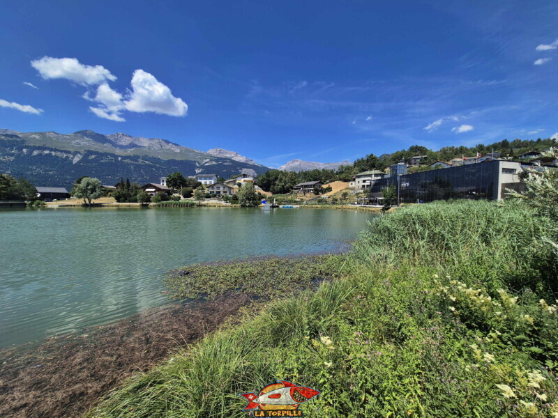 vue, côté sud. Lac du Louché, Lens, Valais central.