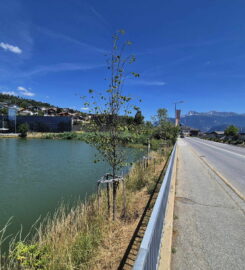 🚤🌊 Lac du Louché – Lens