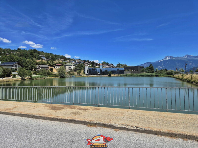 Bord du lac, côté ouest. Lac du Louché, Lens, Valais central.