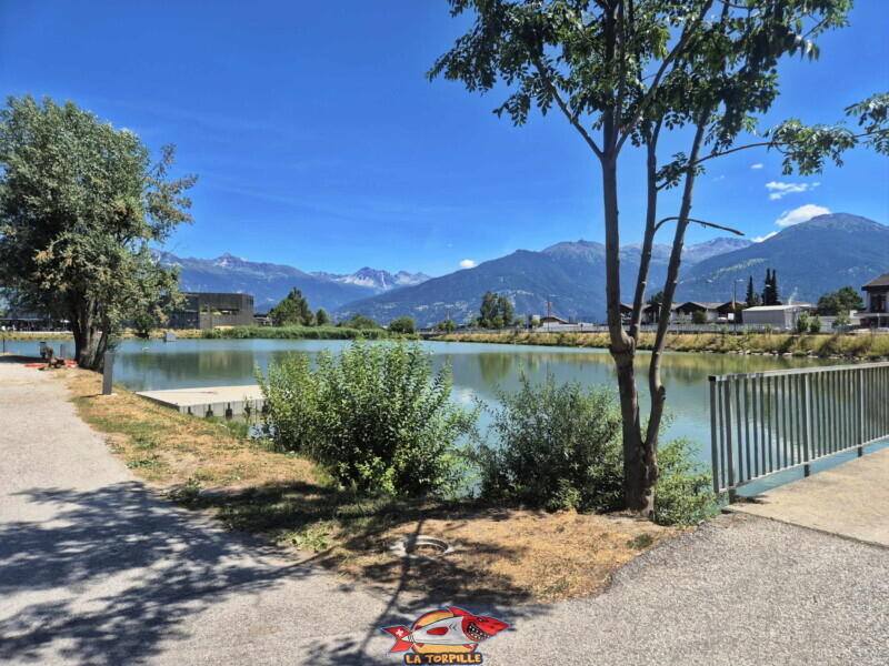 Bord du lac, côté ouest. Lac du Louché, Lens, Valais central.