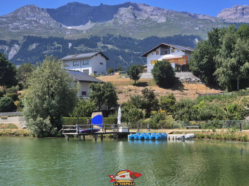 pédalos, côté nord. Lac du Louché, Lens, Valais central.