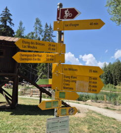 🚤🏞️ Bisse et Etang des Miriouges – Lens