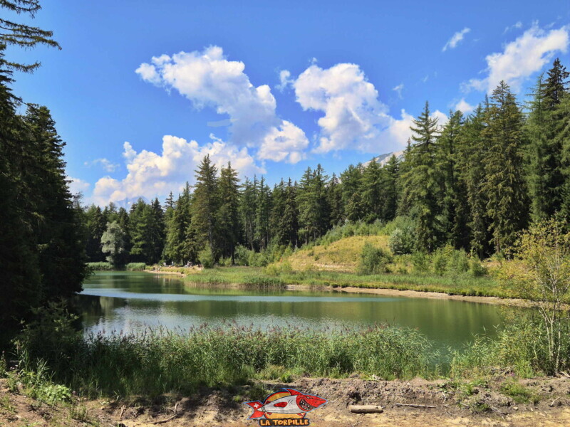 Lac des Miriouges -  Côté Est