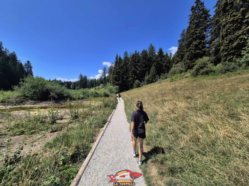 Lac des Miriouges -  Côté Nord
