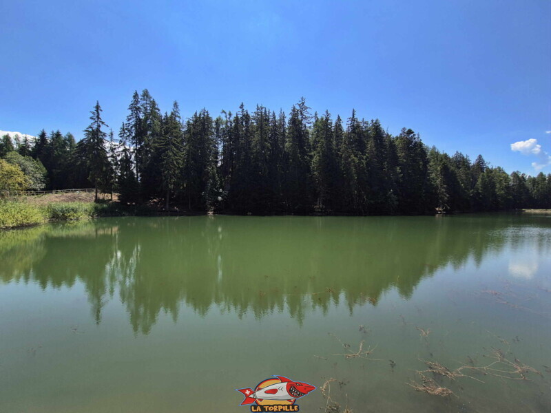 Lac des Miriouges -  Côté Nord