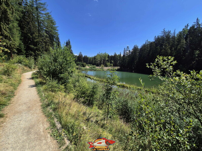 Lac des Miriouges -  Côté Nord