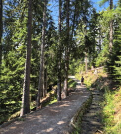 🚤🏞️ Bisse et Etang des Miriouges – Lens