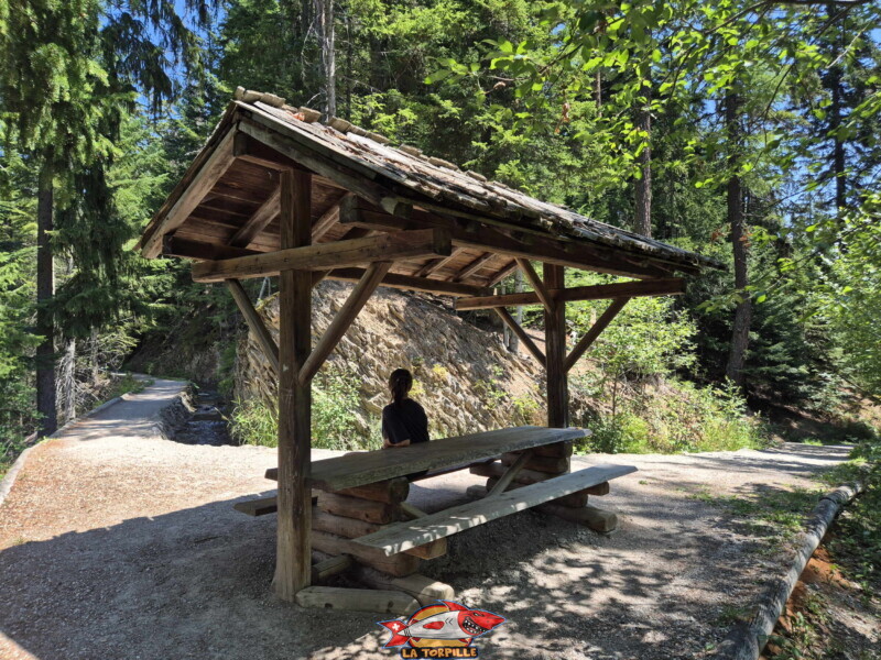 Une magnifique table couverte le long du bisse. Montée du bisse des Miriouges - forêt Une magnifique table couverte le long du bisse. Montée du bisse des Miriouges - forêt